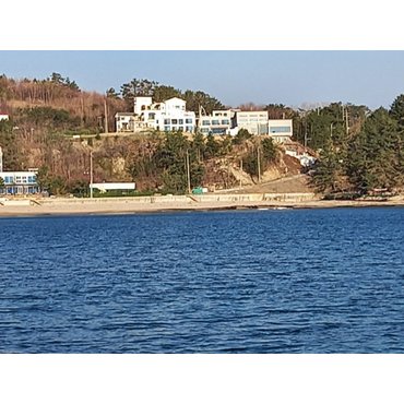 SSG.COM 실시간호텔 [포항]포항 풍경펜션