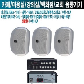 이자카야 카날스 앰프 스피커 EMA-190 BKS-245 W-2