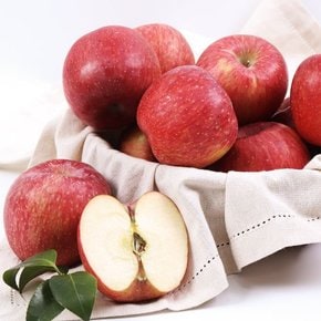 [9/22일 10시 결제건까지 명절전배송][신세계 오늘의과일]고당도 아삭 홍로사과 2.0kg(6~9과/중대과)_안전박스 배송
