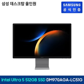 올인원PC [DM970AGA-LC51G]