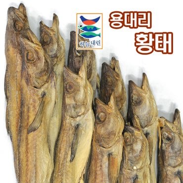 용대리 통황태 10미 특왕 / 47cm이상