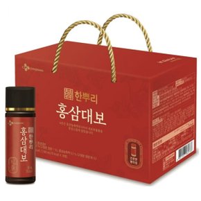10병 CJ제일제당 한뿌리 홍삼대보 (100ML x 10병) 씨제이홍삼음료 한뿌리홍삼대보 인사선물 고급선물 추석