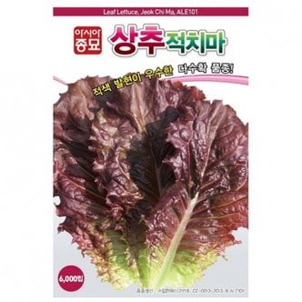 아시아종묘 상추씨앗종자 아시아적치마(3000립)