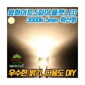 5파이 플랫 확산형LED(웜화이트/DIY용/다용도/교재용)