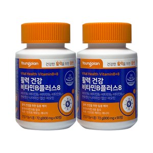 영진약품 영플랜 활력 건강 비타민B 플러스8 2통 6개월분 판토텐산