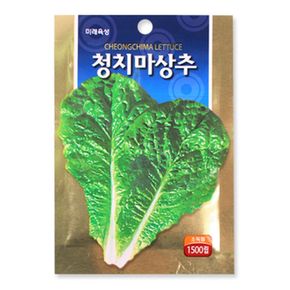 청치마상추