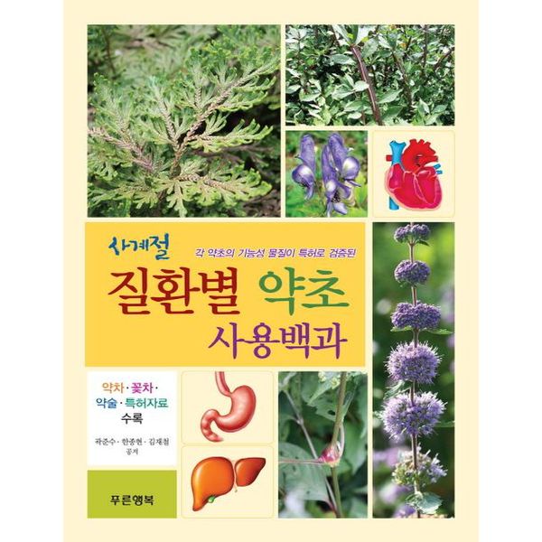 확대된 대표 default