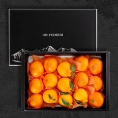 다농이네 제주직송 한라봉+천혜향+레드향 선물세트 4.5kg (대과/10-15과)