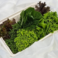  국내산 무농약 유러피안 샐러드 1kg(5~6종 랜덤발송)