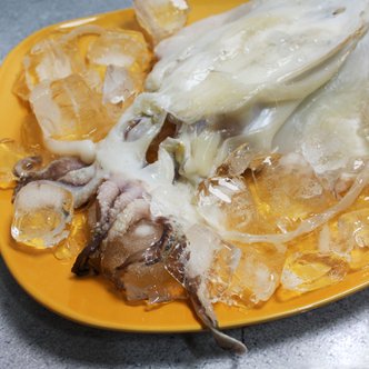 아이홈푸드 [바다의행복] 국내산 반건조 갑오징어 (중) 1팩