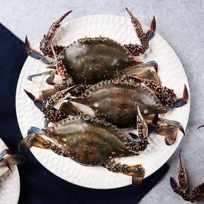 [해동][국산] 꽃게 (100g)