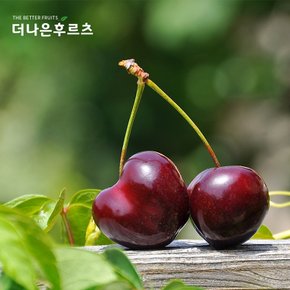 [무료 아이스팩 포장] 특품 고당도 생 체리 미국산 5kg 내외(9.5R)