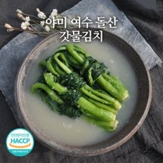 전라도 여수 돌산 갓물김치 2kg