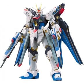 RG SEED DESTINY ZGMF-X20A 1144 기동전사 건담 스트라이크 프리덤 건담 스케일 색으로 구분된