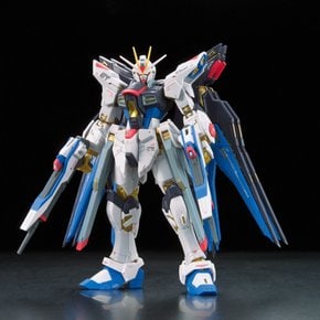 RG SEED DESTINY ZGMF-X20A 1144 기동전사 건담 스트라이크 프리덤 건담 스케일 색으로 구분된