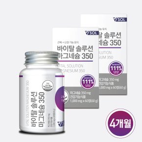 VSOL 바이탈솔루션 마그네슘350 2병 (4개월)