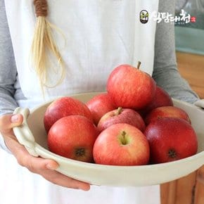 경북 가정용 못난이 흠집 부사 사과 9kg(56-65과)꼬마