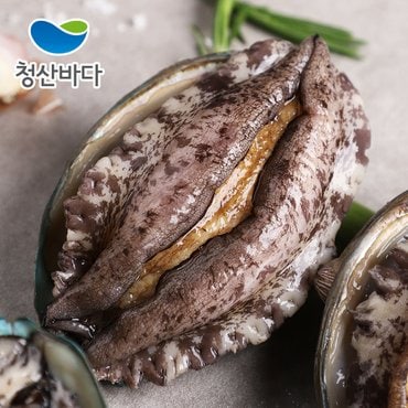 청산바다 [산지직송] 완도참전복[大] 11-12미 1kg(선물포장가능)