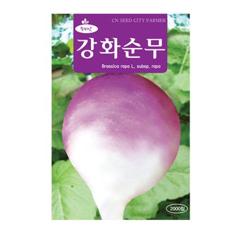  청농 강화순무씨앗 2000립