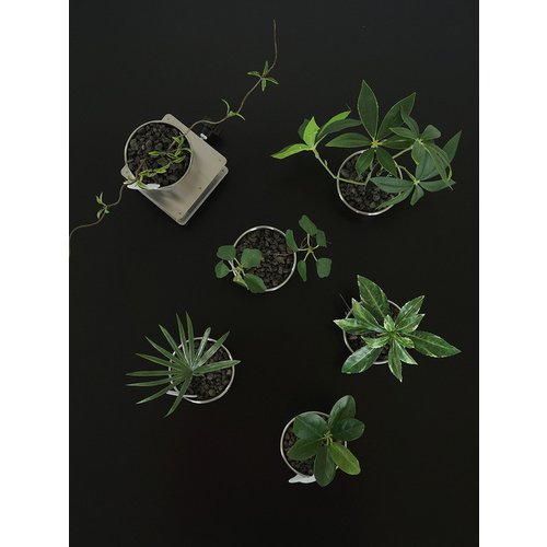 Add Image 6