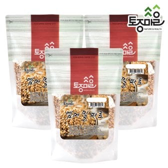 토종마을 파로(엠머밀) 400g (엠머밀파로) X 3개