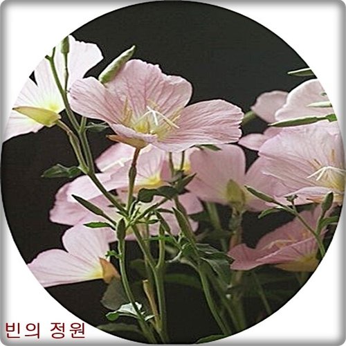상품이미지2