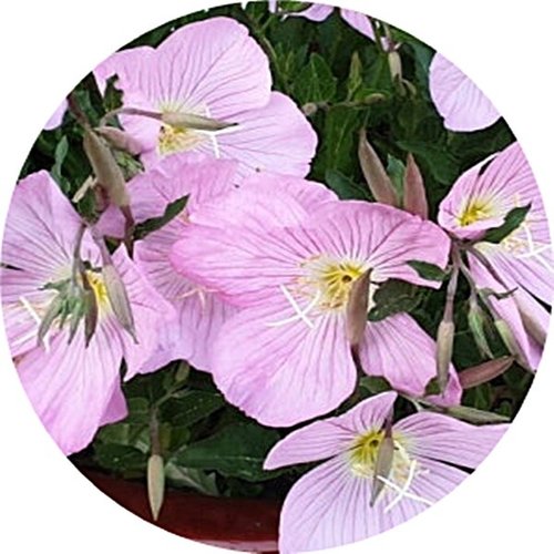 상품이미지3