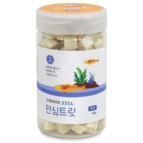 스탠바이미 동결건조 안심트릿(북어) 40g (WD28B4A)