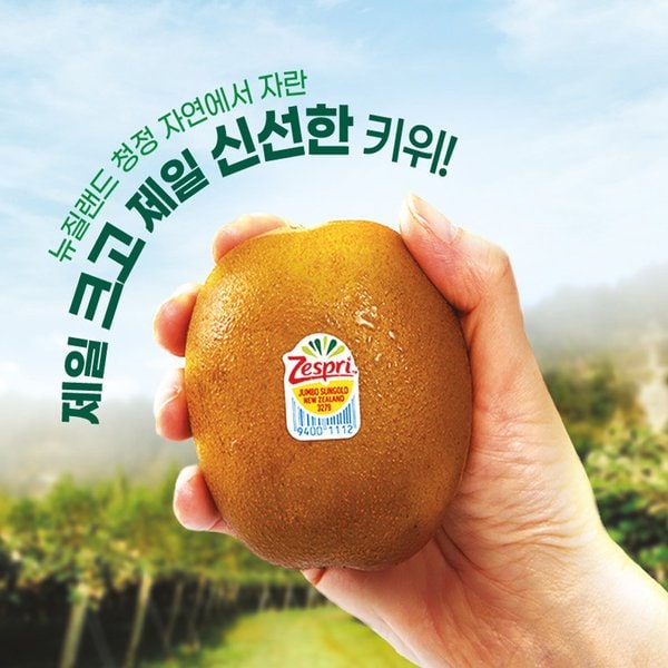 확대된 대표 상품이미지1