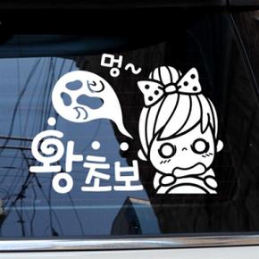 /제제데코 멍...왕초보