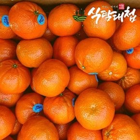 식탐대첩 미국 만다린 감귤 오렌지 2kg