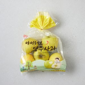  영주 황금사과 1.3kg/봉