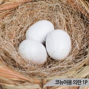 코뉴어용 의란 모형란 모형알 가짜알 애완조의란