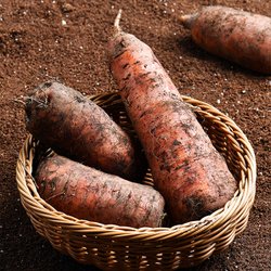 당근 특상사이즈 3kg