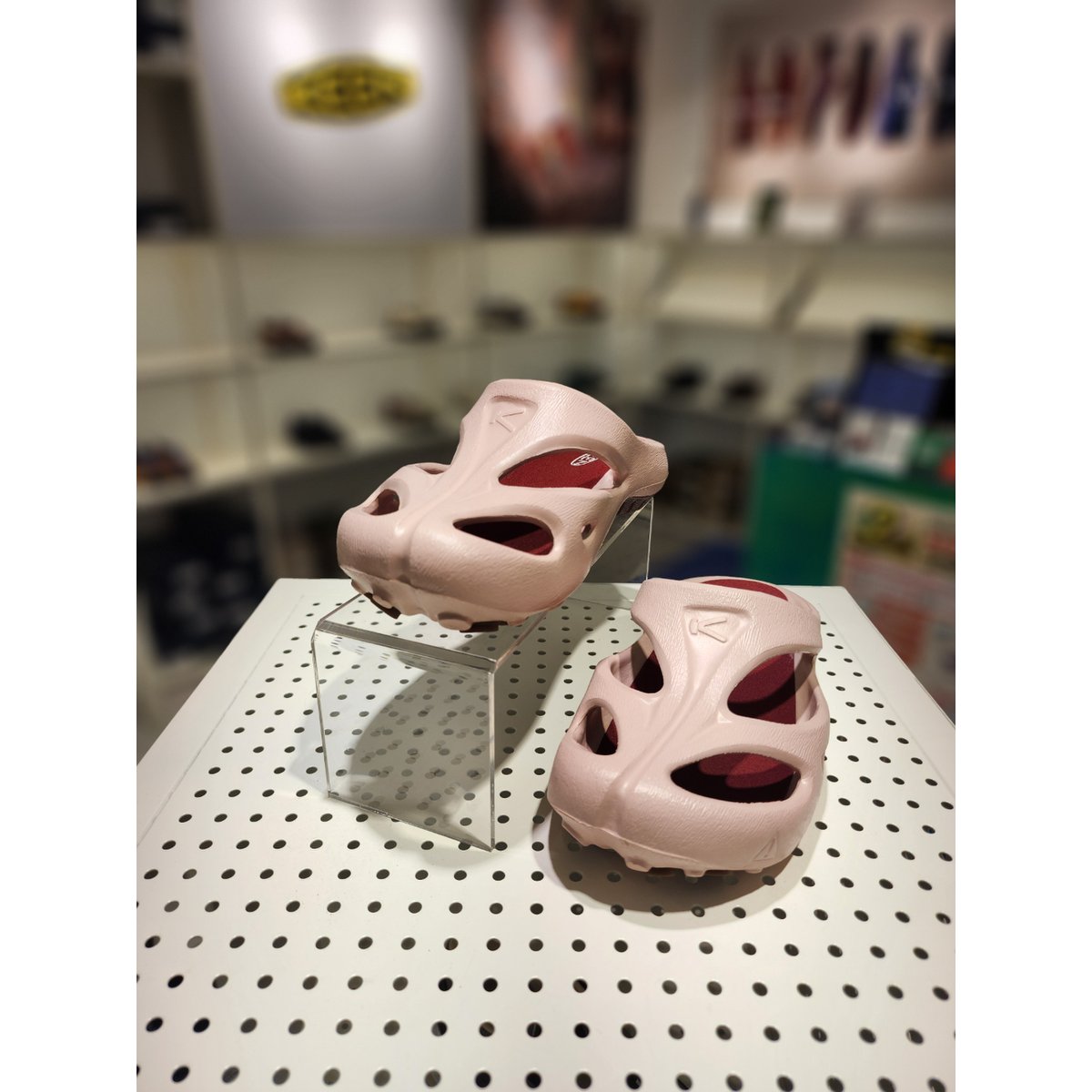 확대된 대표 .