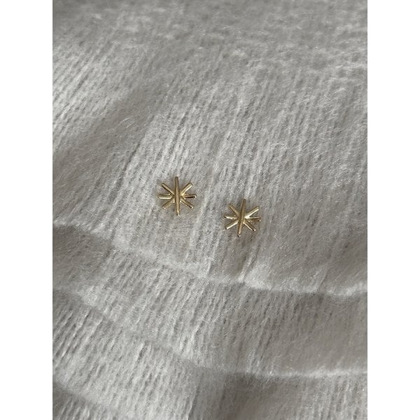14k Sola earrings