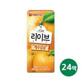 서울 리이브감귤 190ml 24팩