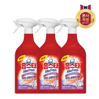 엘지생활건강 홈스타 맥스프레쉬 뿌리는 곰팡이 싹 750ml x 3개