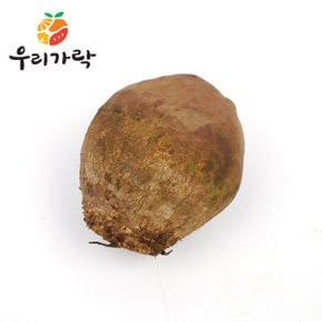 알비트 10kg