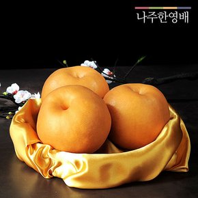 나주 명품 사과배 혼합선물세트(5kg) (사과5입/배4입)