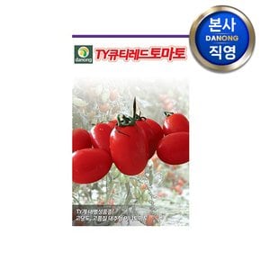 TY큐티레드 방울 토마토씨앗 10립 . 내병계 채소 씨 종자 주말 농장 텃밭 재배