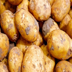 감자 국내산 깐감자 감자닭볶음용 350g  당일생산(냉동X) 간편야채 손질야채