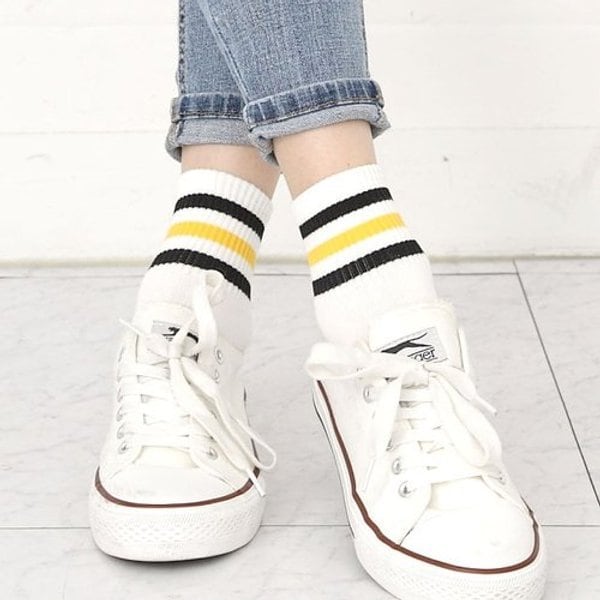확대된 대표 image1