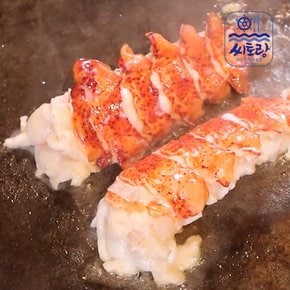 캐나다 랍스터테일 4미/마리당 110~120g