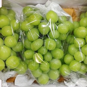 황금열매 맛있는 고당도 샤인머스캣 4kg 3-5수