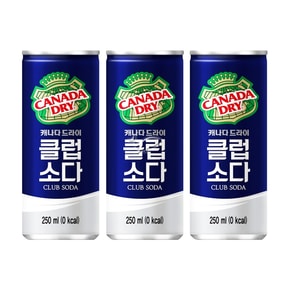 캐나다드라이 클럽소다 250ml/ 20캔