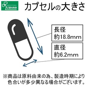 (공식 립사) 엘립사 챔피언 C-203 딤3개월분