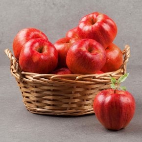 [자연예서] 부사 사과 5kg 고당도 고랭지 (21-25과)