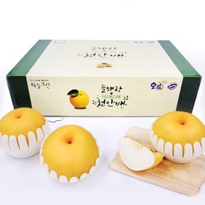 [9/15 순차출고] [농협공판장] 정성드린 프리미엄 천안배세트 7.5kg(특7-10과내)