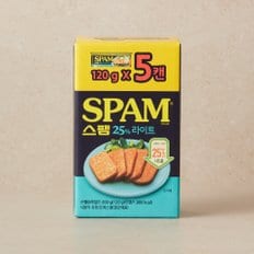 스팸25% 라이트 120g*5입